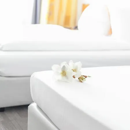 Ambiente مونستر