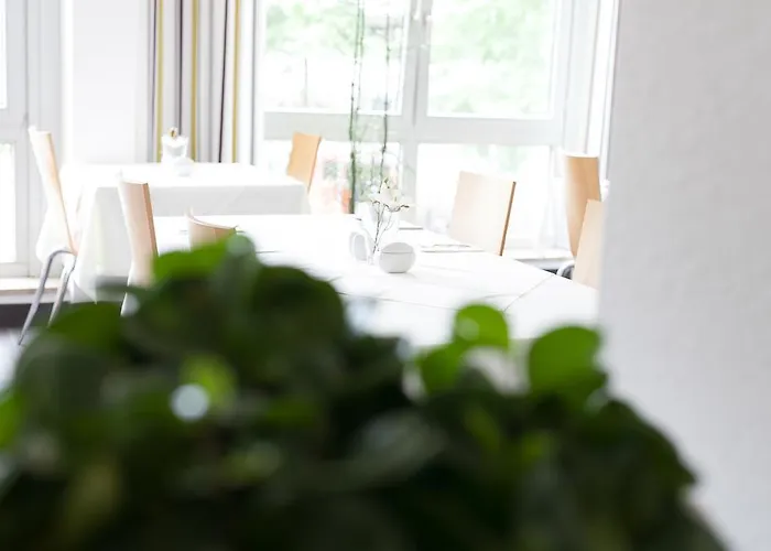 Ambiente مونستر